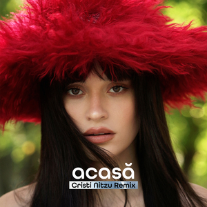Acasă (Cristi Nitzu Remix)