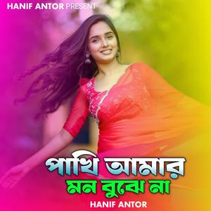 পাখি আমার মন বুঝে না