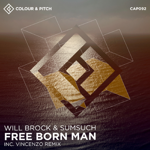Free Born Man (Vincenzo Remix Instrumental)