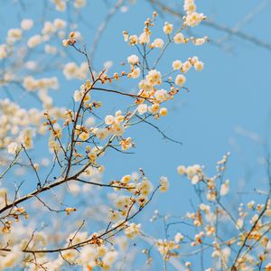 周杰伦“搁浅”Type Pop beat