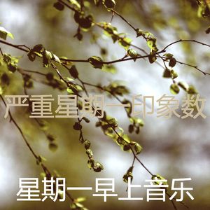 抚慰的星期一回忆