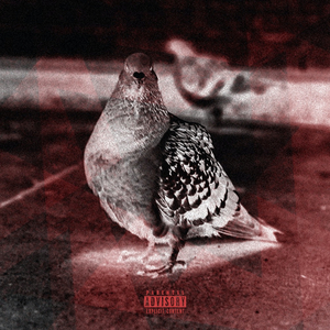 Up & Down (feat. Los Rakas)