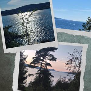 Gamle sommerdrømmer