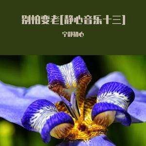 谁在意我流下的泪 (大自然声音)