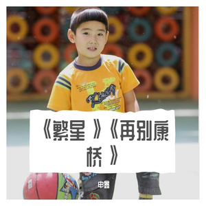 《繁星》《再别康桥》