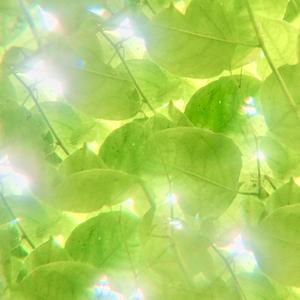 V Hengityksen keinu (Instrumental)