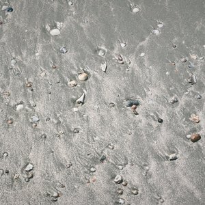 마음을 물어봤다(问了问心)