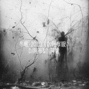 冬眠2023摇摆DJ