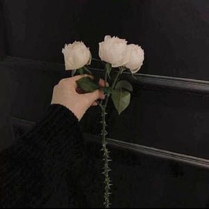 怀念青春（cover刘刚）