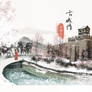 古城情 (DJ沈念版)
