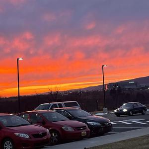 get me out of here P3