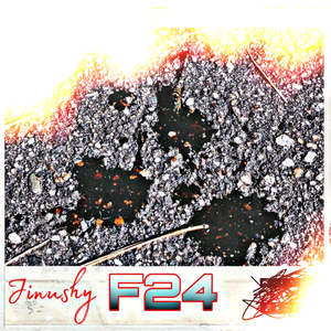 F24