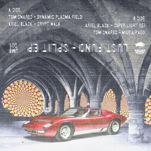 Dynamic Plasma Field