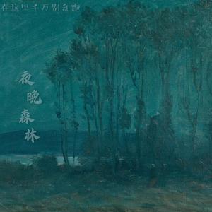 夜晚森林