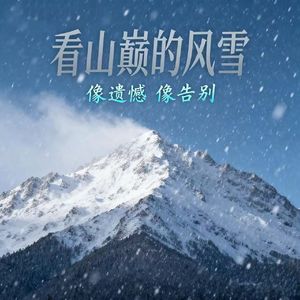 看山巅的风雪（像遗憾 像告别）