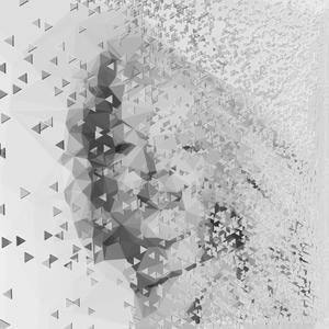 Wer schön sein will muss sterben