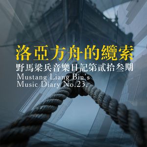 洛亚方舟的缆索