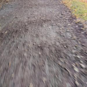 Stenhjärta (Mardröm eller verklighet)