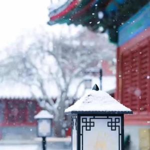 京城雪