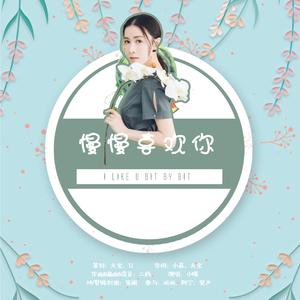 慢慢喜欢你（给佘诗曼的歌）