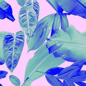 奇妙能力歌（Cover 陈粒）