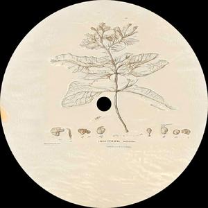 ci (Marincu Remix) (Marincu Remix)