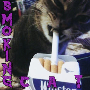 Smoking Cat