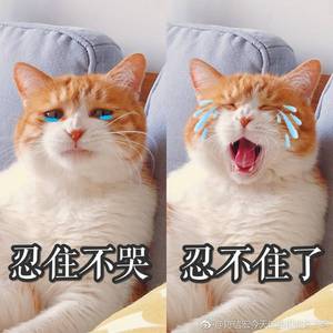 年轻的朋友我们总是这样太慌张漫天的星光是我的家