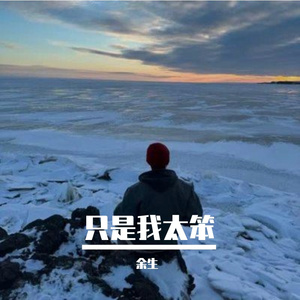 只是我太笨（抖音热搜版）