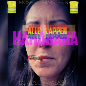 ALLE LAPPEN RMX - Festival Zeltplatz Hit