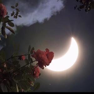 给电影人的情书