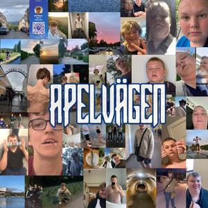 Försäkringsbedrägeri