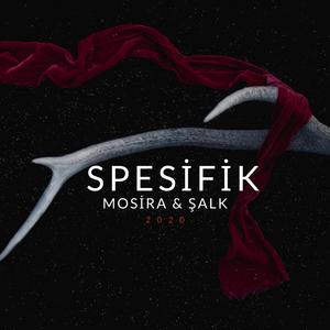 Spesifik (feat. Şalk)