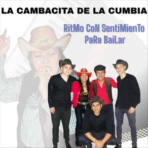 Rancheras: Las Flores de Tu Florero / Voy a Quitarme el Anillo / Tu Ingratitud / Me Bebí Tu Recuerdo