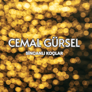 Sincanlı Koçlar