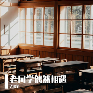 老同学偶然相遇