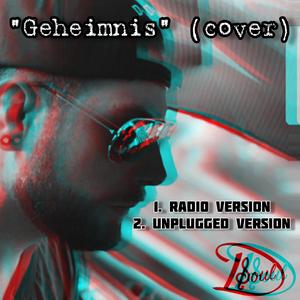 Geheimnis (Unplugged) (Unplugged)