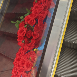 一切不是我的错