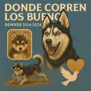 DONDE CORREN LOS BUENOS