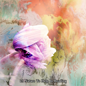 在大自然中散步