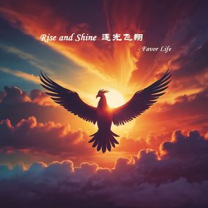 Rise and Shine - 逐光飞翔