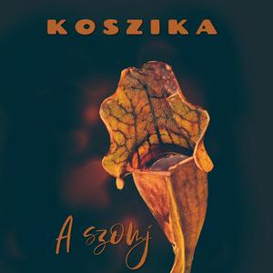 A szomj (feat. Csabaki & Frankie)