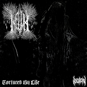 Assisted Suicide (Original Mix)