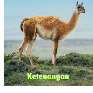 Ketenangan