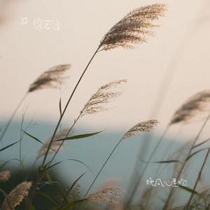 晚风心里吹 (Cover 阿梨粤)