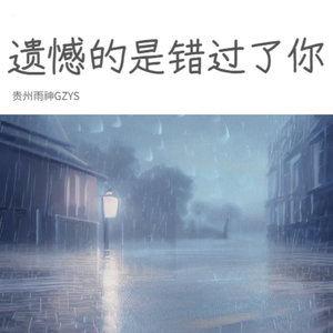 遗憾的是错过了你