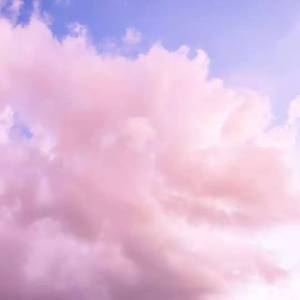 ʕ๑•ɷ•๑ʔ❀