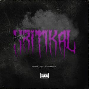 Kritikal (feat. Blast & Falcio)