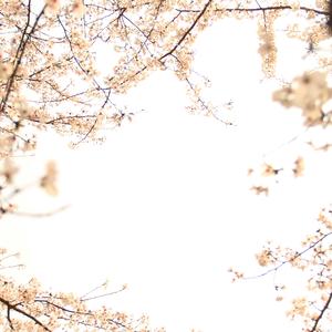 我还年轻 我还年轻（Cover:老王乐队）