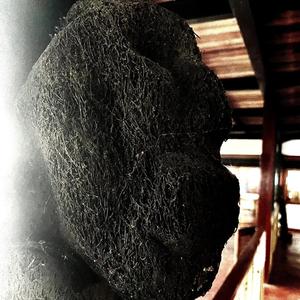 NO DISRESPECT (feat. V14)